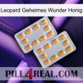 Leopard Secret Miracle Honey cialis4